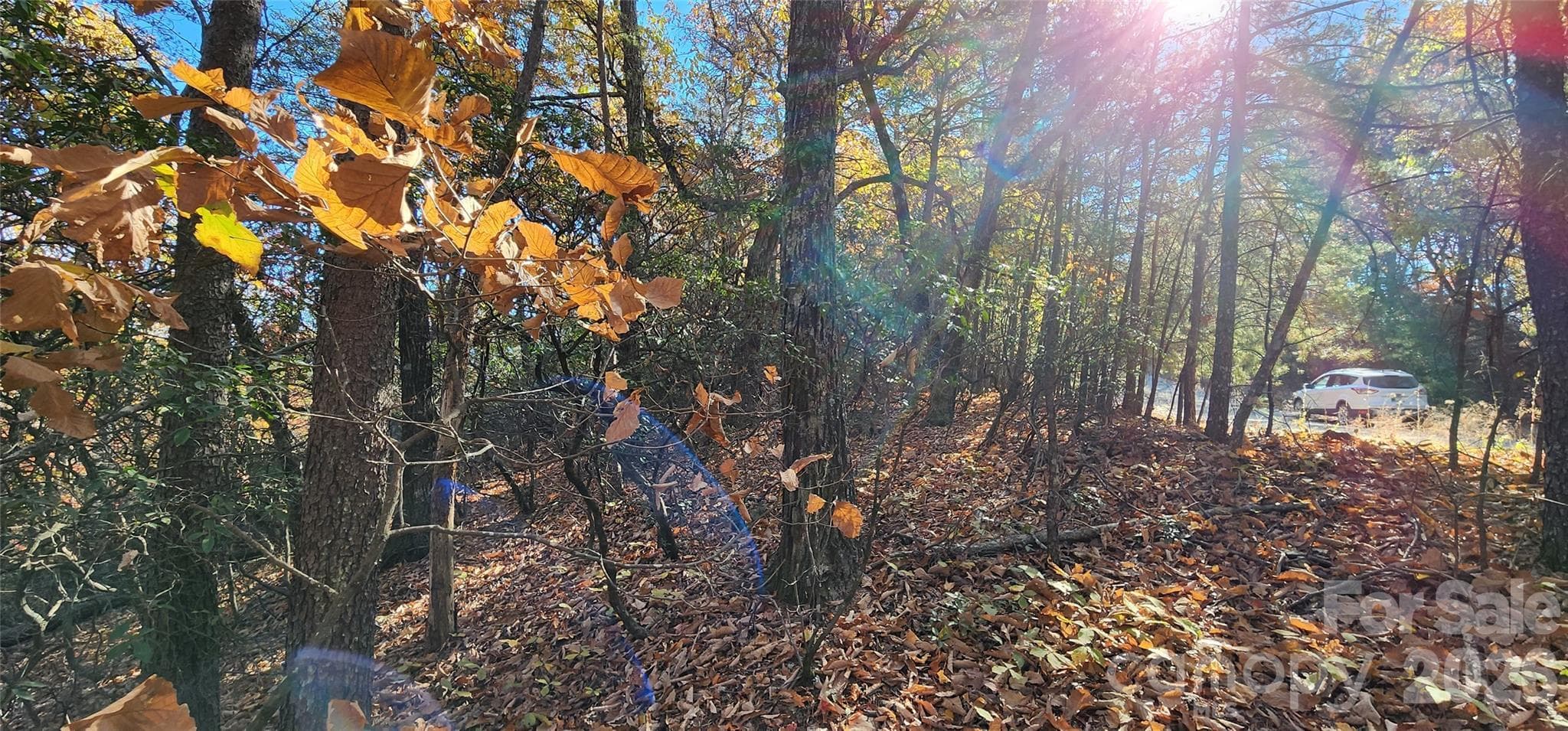 Lot at Lot 22 A Pinnacle Parkway, Union Mills, photo 2 of 11