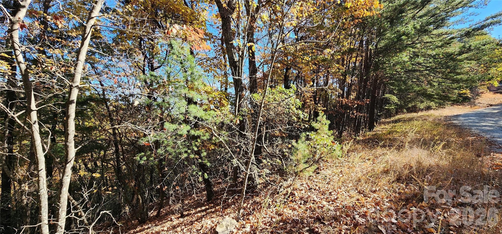 Lot at Lot 22 A Pinnacle Parkway, Union Mills, photo 4 of 11