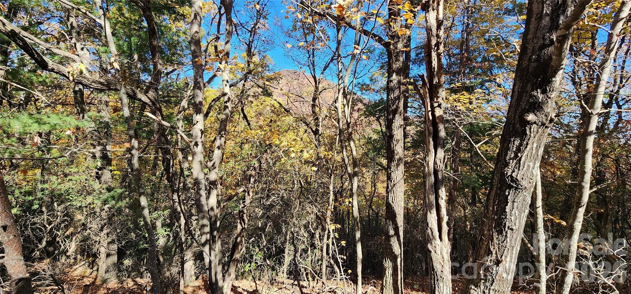 Lot at Lot 22 A Pinnacle Parkway, Union Mills, photo 6 of 11