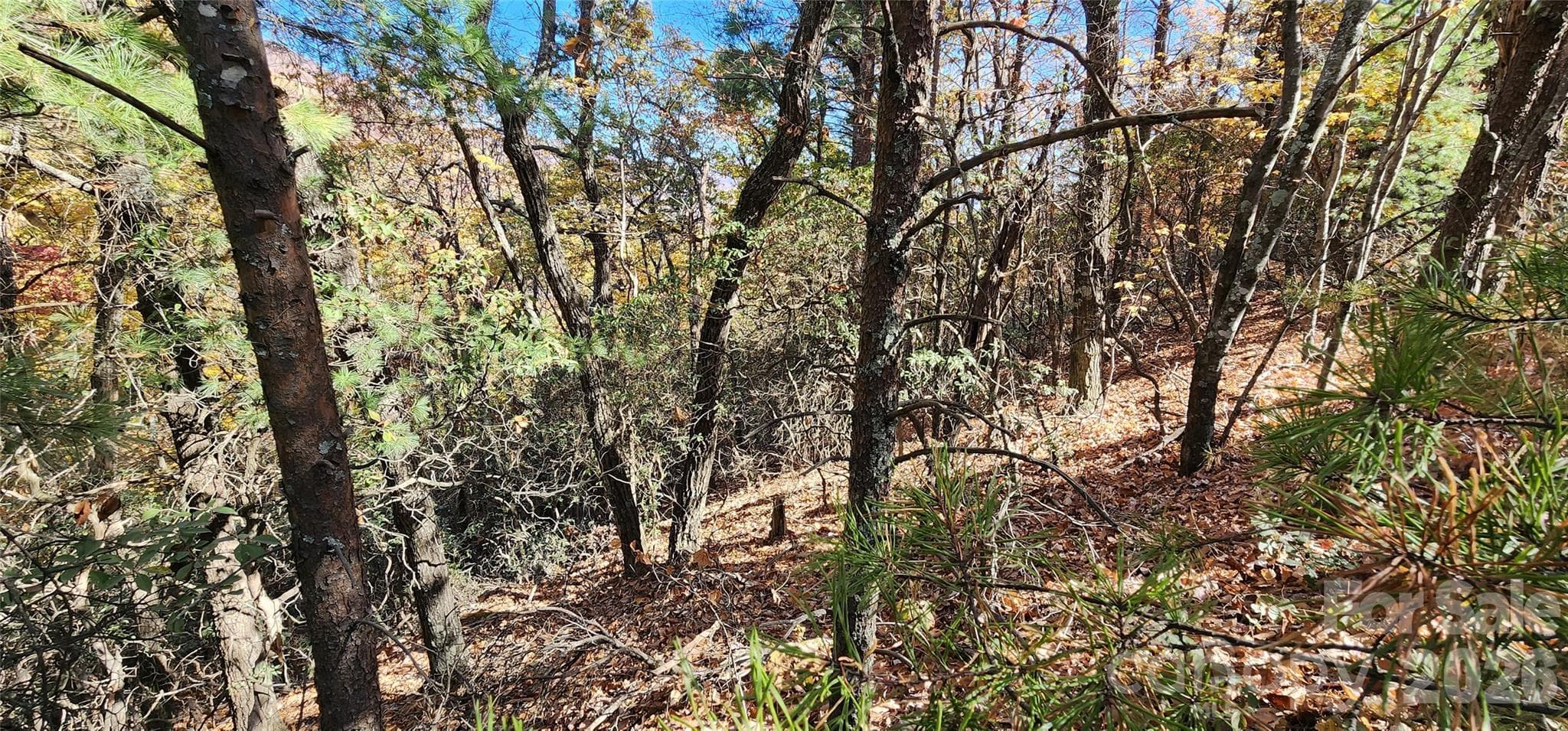 Lot at Lot 22 A Pinnacle Parkway, Union Mills, photo 7 of 11