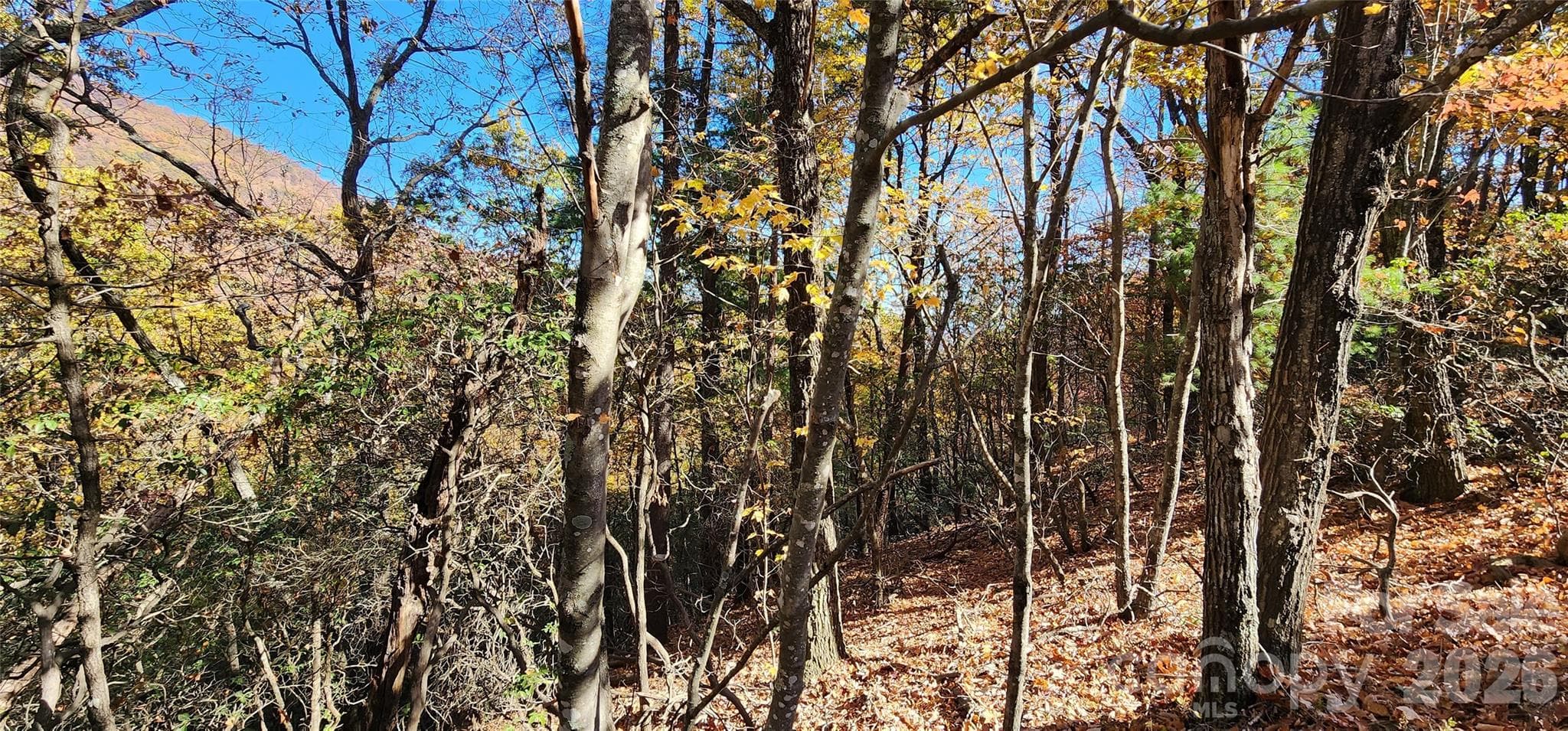 Lot at Lot 22 A Pinnacle Parkway, Union Mills, photo 9 of 11