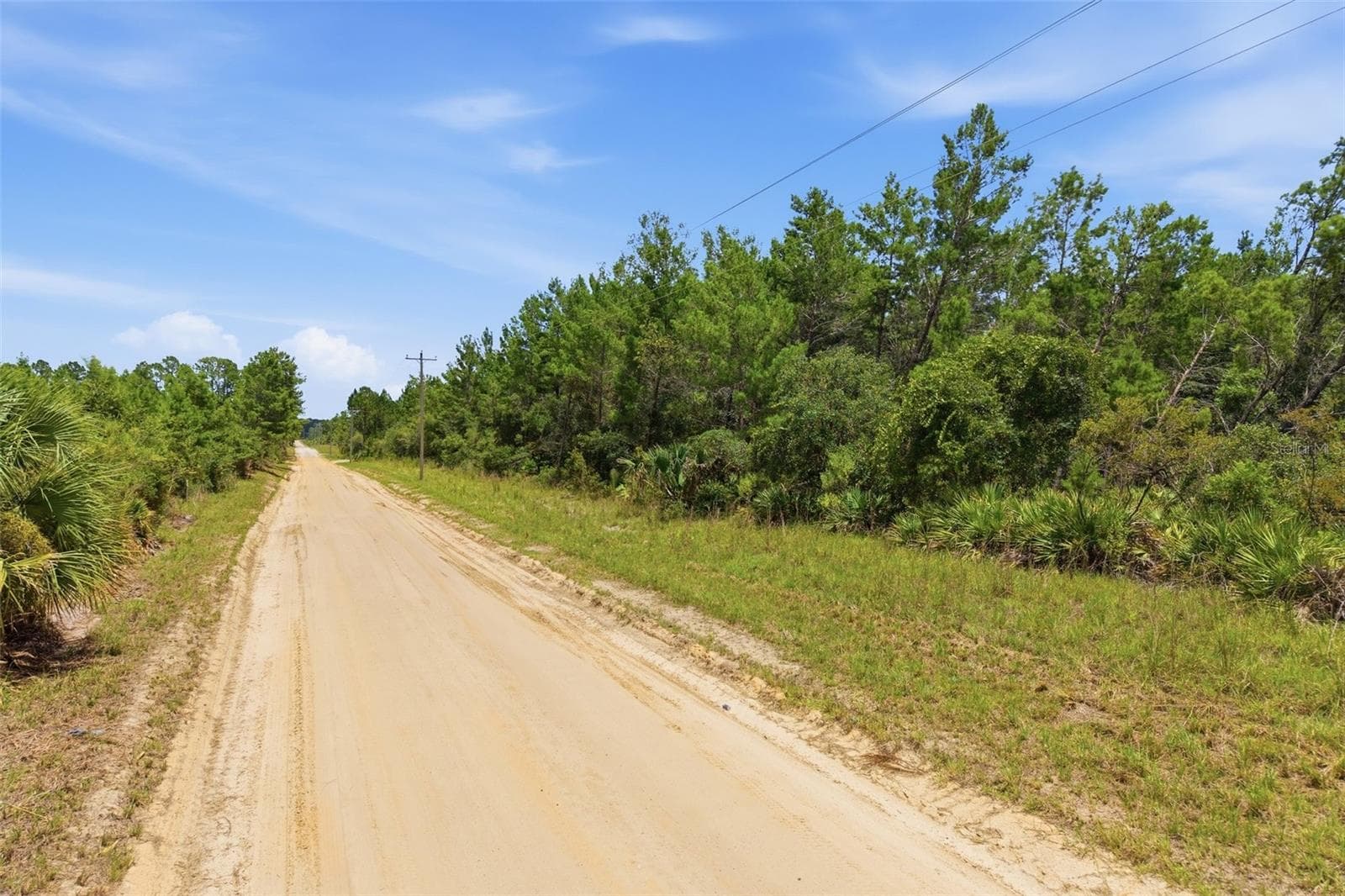 Land at LOT 70 MAGGIE JONES ROAD RD, EUSTIS, photo 4 of 10