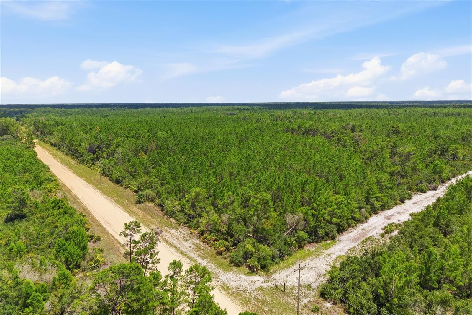 Land at LOT 70 MAGGIE JONES ROAD RD, EUSTIS, photo 5 of 10