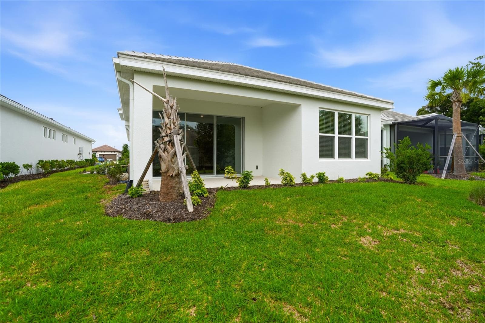Back of Home - 4718 GAROFALO RD, WESLEY CHAPEL