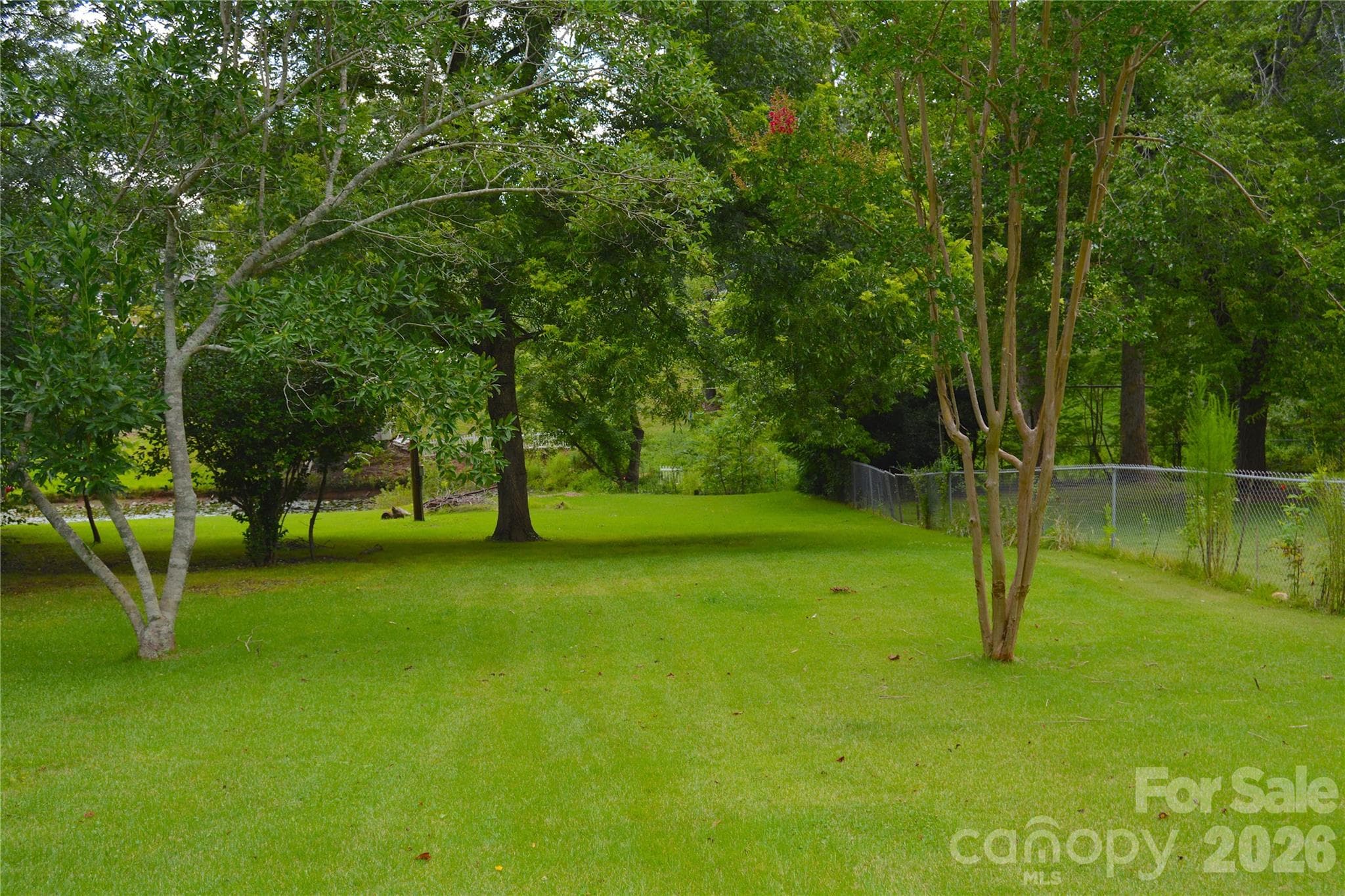Backyard - 467 Forest Lake Road, Forest City