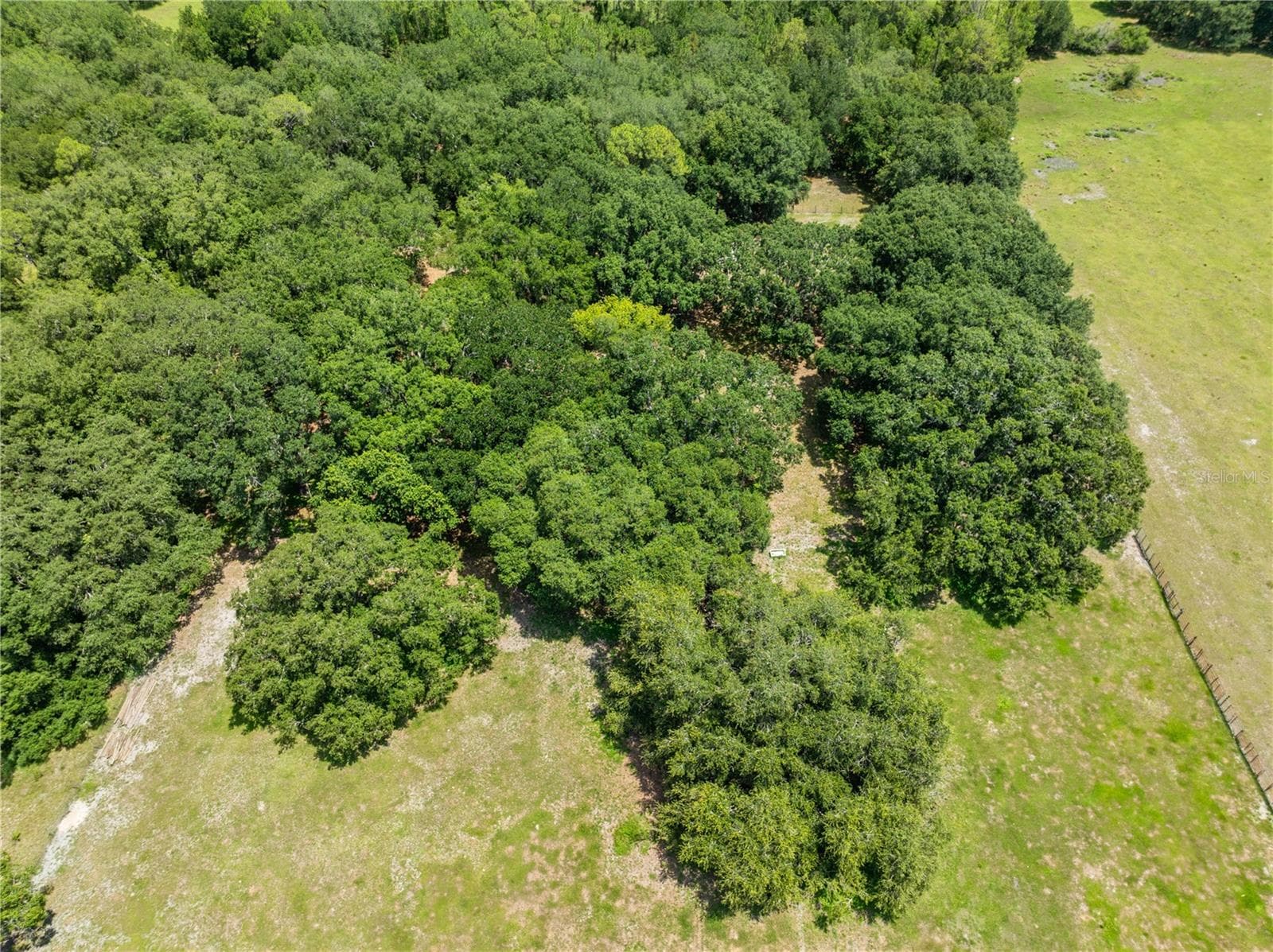 Land at 0 HICKORY TREE RD. SAINT CLOUD, FL #34772, ST CLOUD, photo 8 of 14