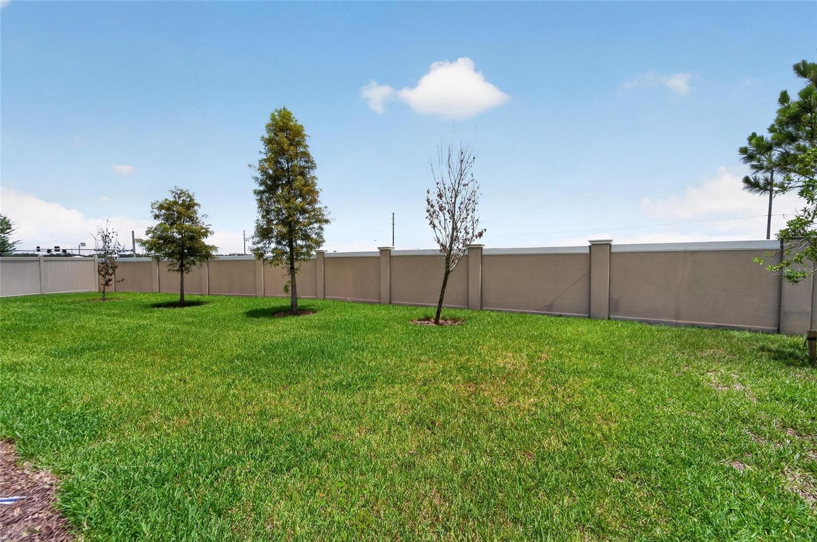 Single Family Residence at 8910 DRUMMER PLANK DR, WESLEY CHAPEL, photo 85 of 100