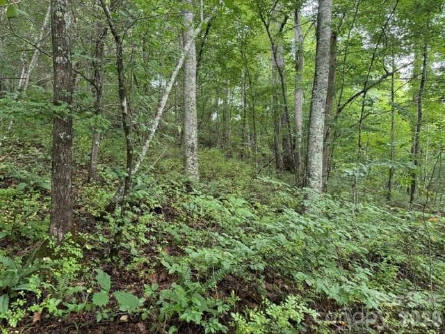 Acreage at TBD Meadow Fork Road, Hot Springs, photo 2 of 20