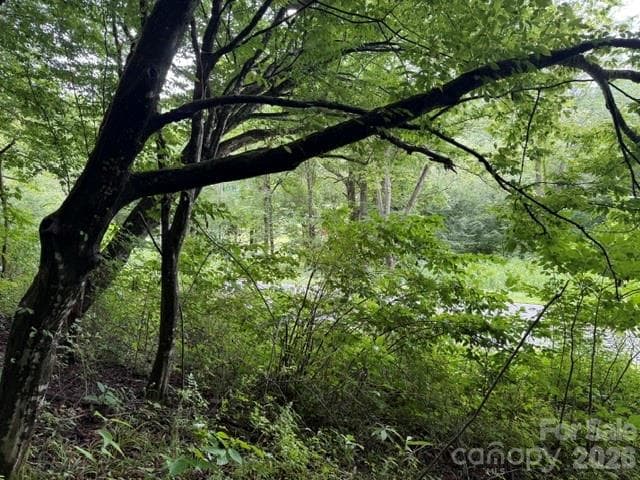 Acreage at TBD Meadow Fork Road, Hot Springs, photo 3 of 20
