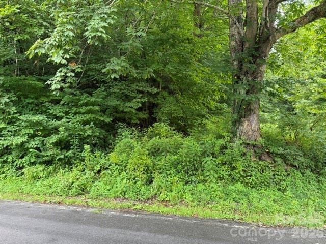 Acreage at TBD Meadow Fork Road, Hot Springs, photo 4 of 20