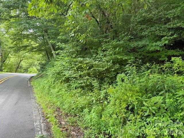 Acreage at TBD Meadow Fork Road, Hot Springs, photo 5 of 20