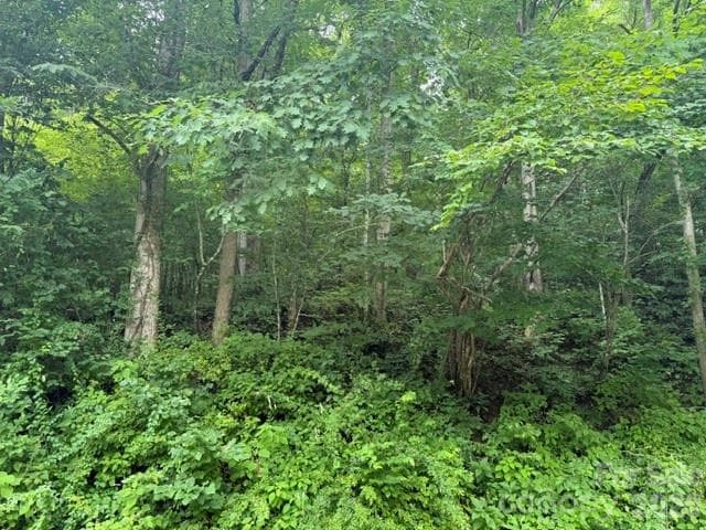 Acreage at TBD Meadow Fork Road, Hot Springs, photo 7 of 20