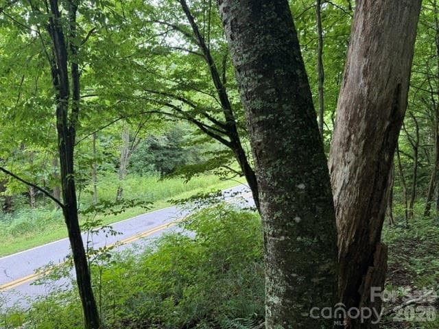Acreage at TBD Meadow Fork Road, Hot Springs, photo 8 of 20