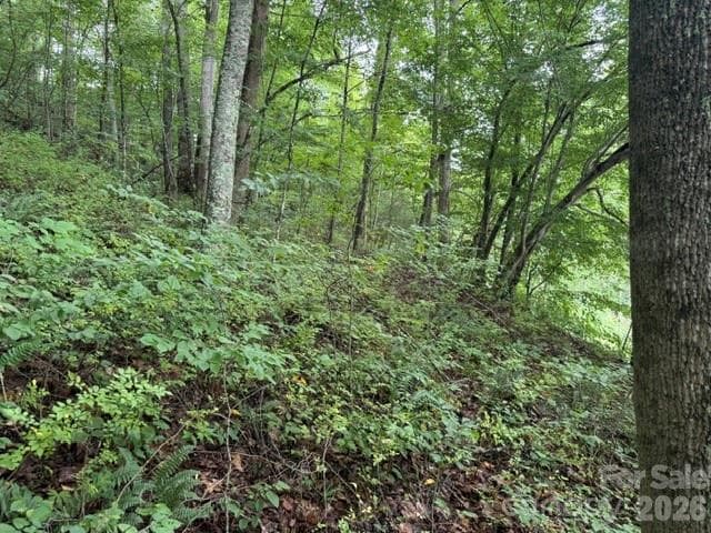 Acreage at TBD Meadow Fork Road, Hot Springs, photo 9 of 20