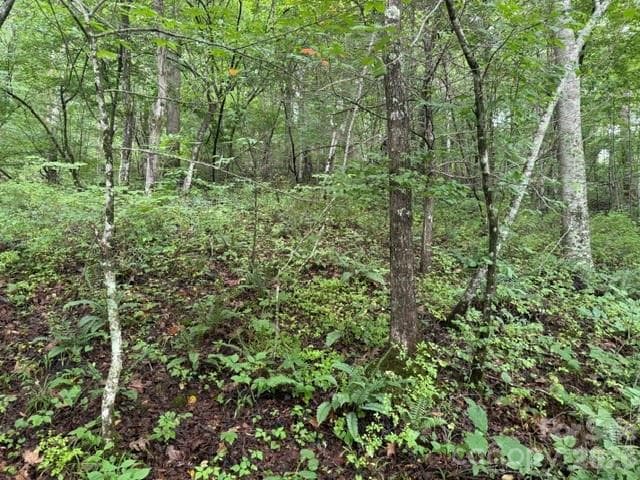 Acreage at TBD Meadow Fork Road, Hot Springs, photo 10 of 20