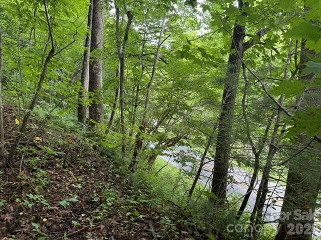 Acreage at TBD Meadow Fork Road, Hot Springs, photo 11 of 20