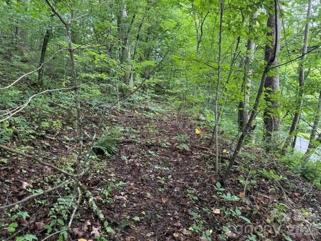 Acreage at TBD Meadow Fork Road, Hot Springs, photo 12 of 20