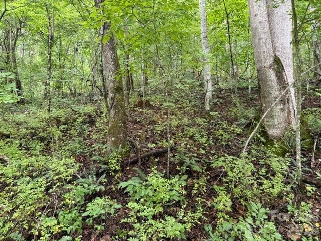 Acreage at TBD Meadow Fork Road, Hot Springs, photo 13 of 20
