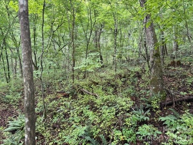 Acreage at TBD Meadow Fork Road, Hot Springs, photo 14 of 20