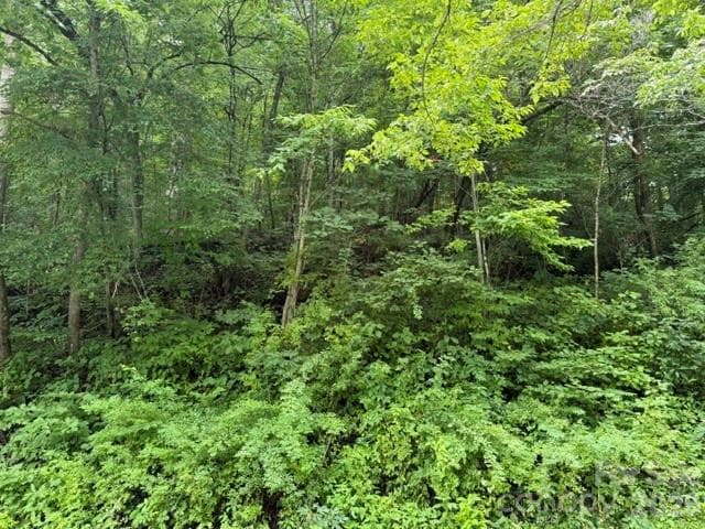 Acreage at TBD Meadow Fork Road, Hot Springs, photo 15 of 20