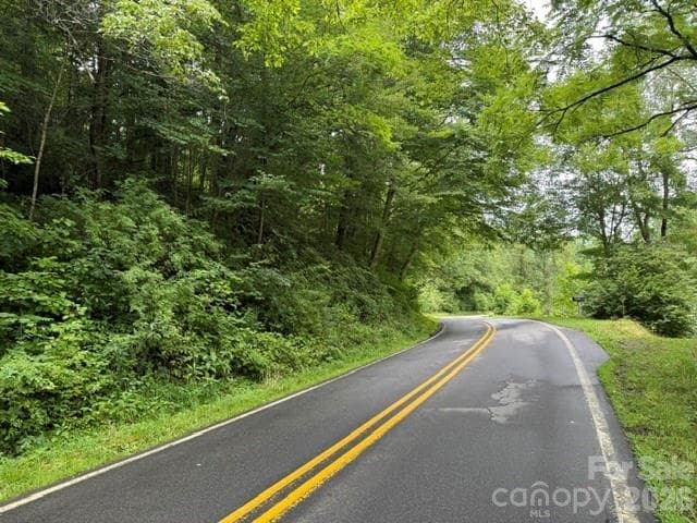 Acreage at TBD Meadow Fork Road, Hot Springs, photo 16 of 20