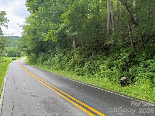 Acreage at TBD Meadow Fork Road, Hot Springs, photo 17 of 20