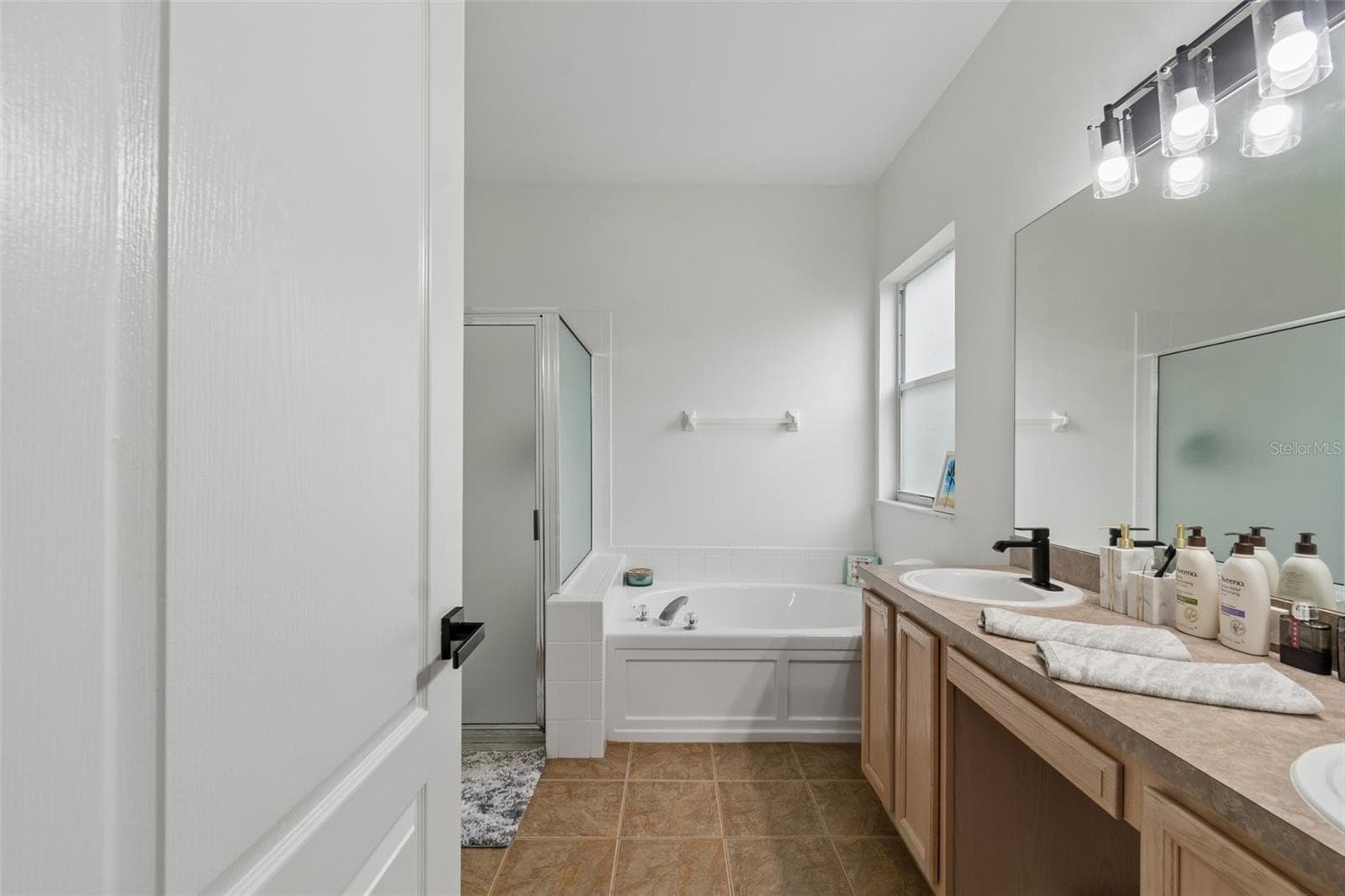 Single Family Residence at 19029 CHEMILLE DR, LUTZ, photo 32 of 57