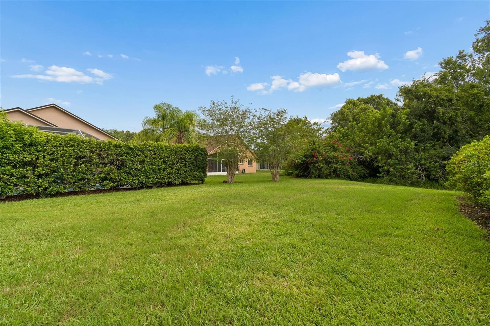 Single Family Residence at 19029 CHEMILLE DR, LUTZ, photo 46 of 57