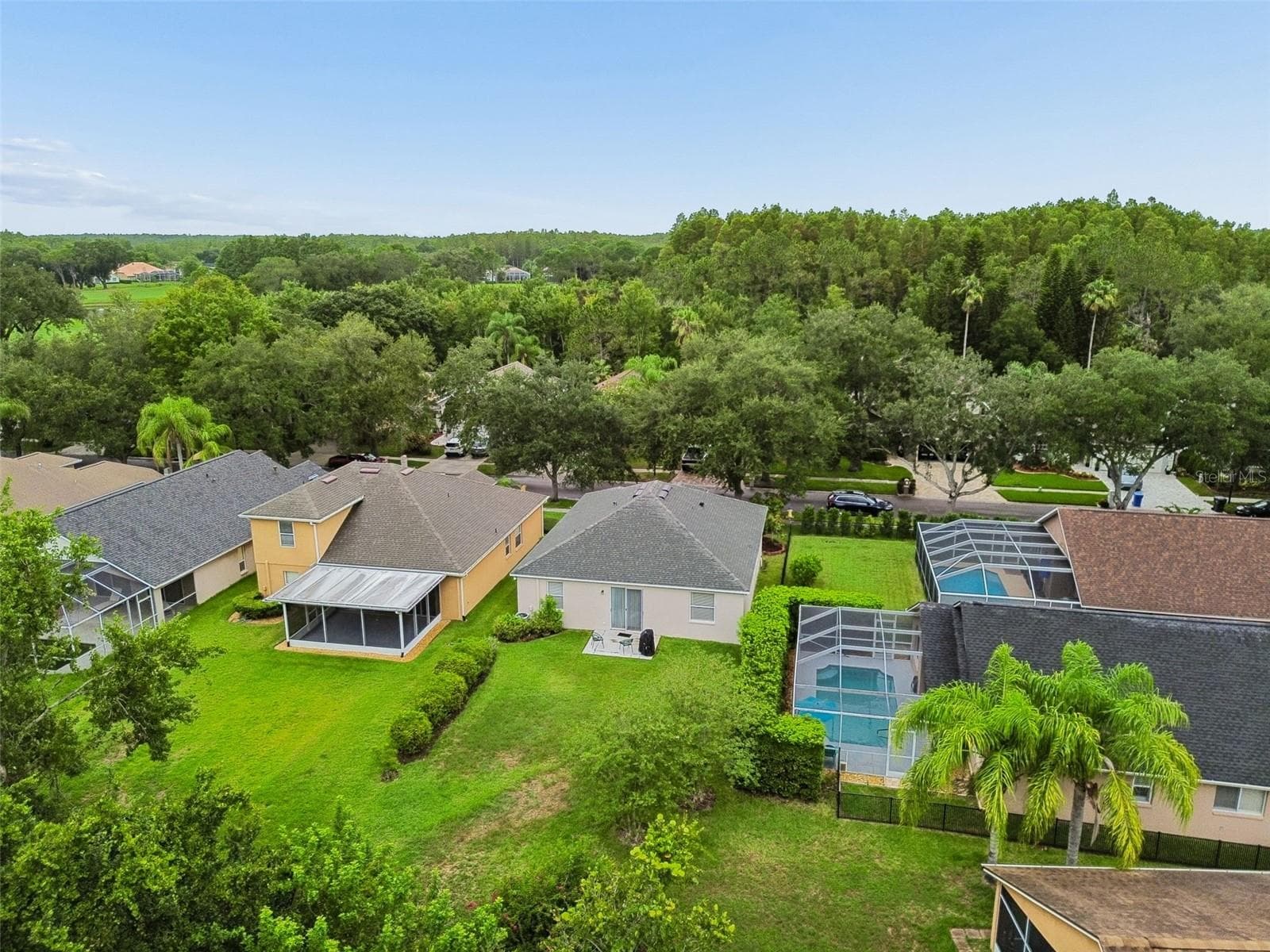 Single Family Residence at 19029 CHEMILLE DR, LUTZ, photo 51 of 57