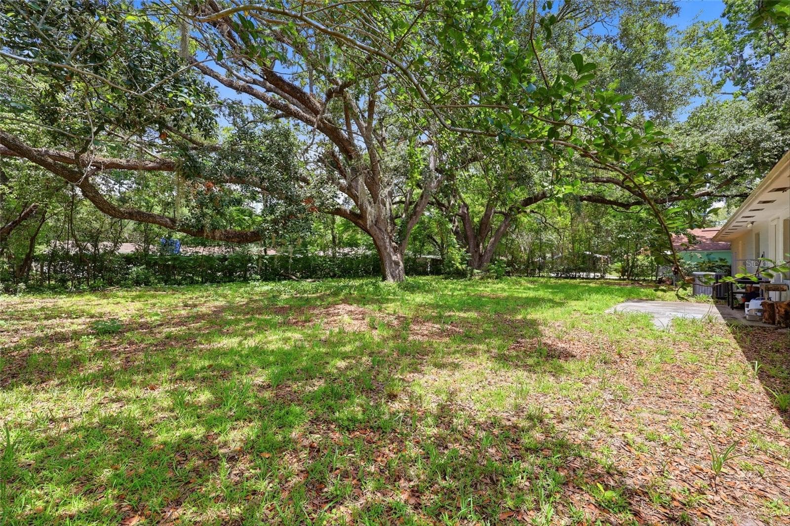 Backyard - 4628 NW 40TH ST, GAINESVILLE