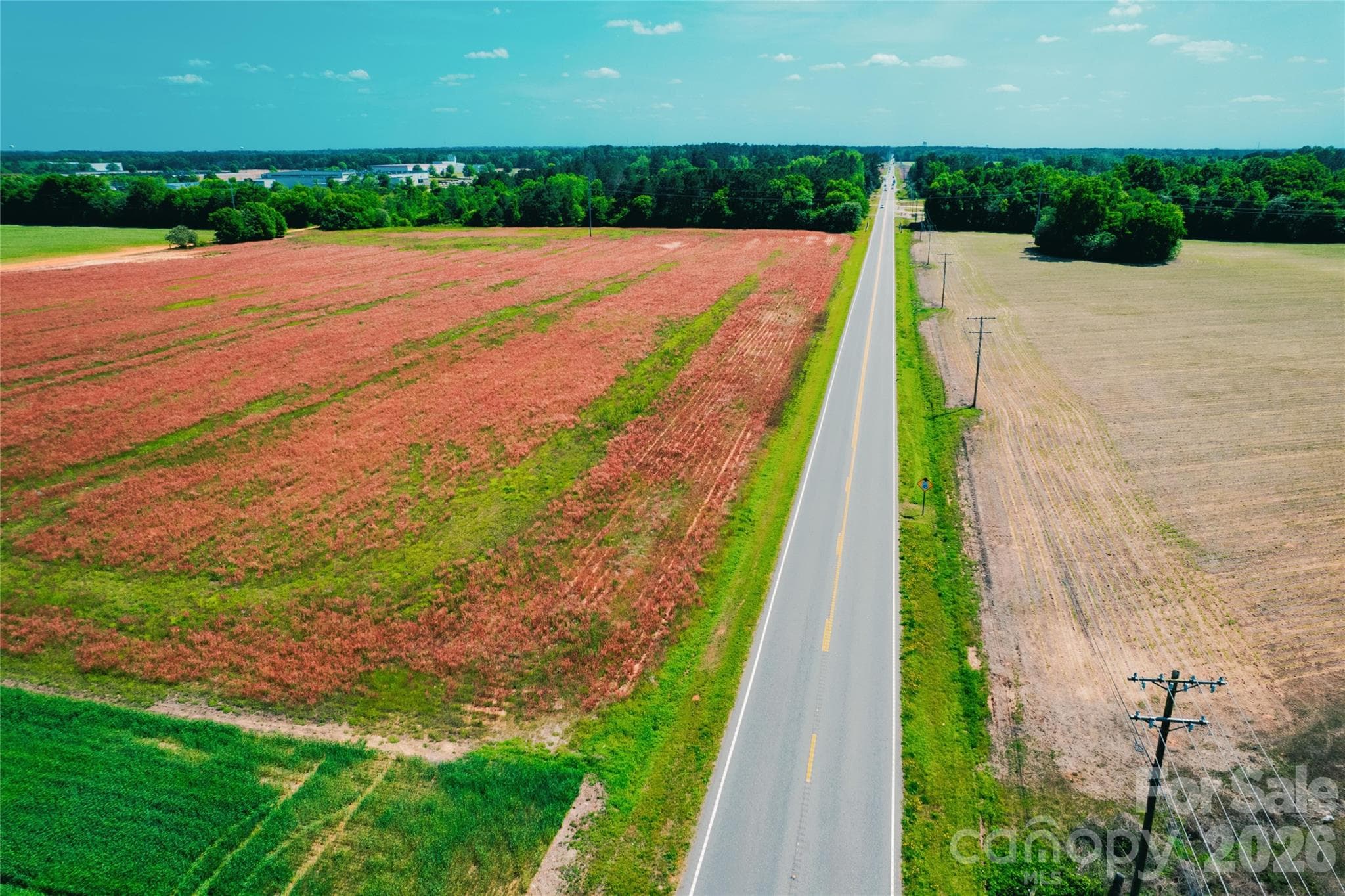 Lot at 0 Rogers Lane, Bennettsville, photo 2 of 8