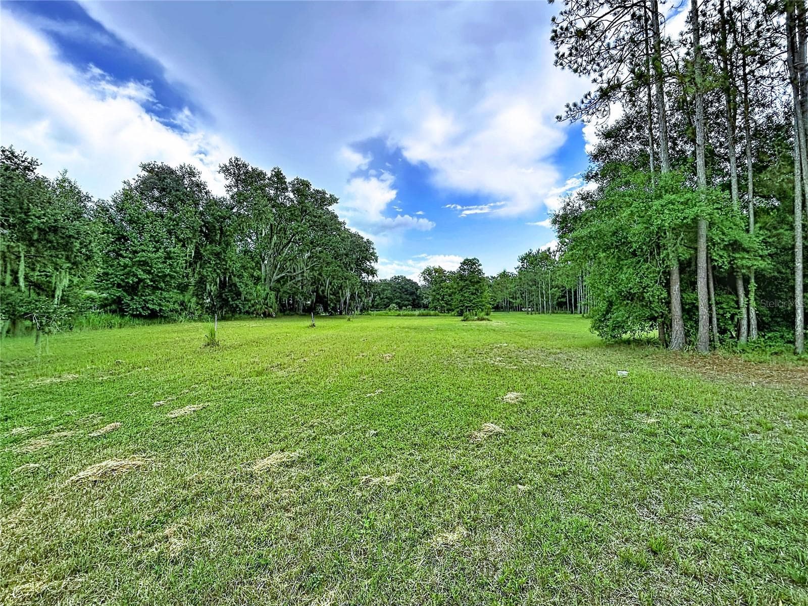 Land at 16605 HAPPY GARDEN WAY, LUTZ, photo 13 of 20