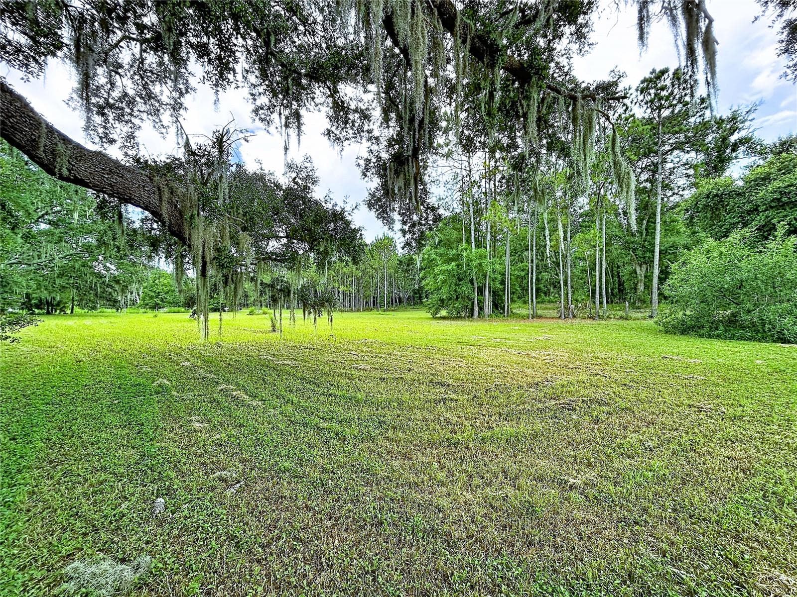 Land at 16605 HAPPY GARDEN WAY, LUTZ, photo 14 of 20
