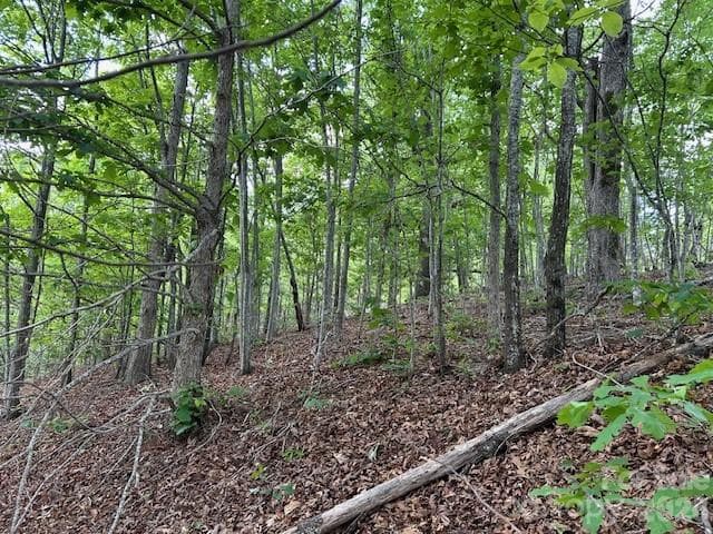Lot at 0 Azule Ridge, Bostic, photo 8 of 18