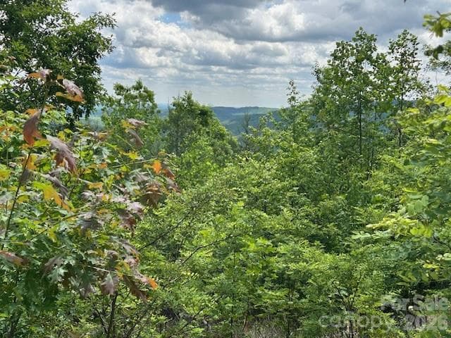 Lot at 0 Azule Ridge, Bostic, photo 9 of 18