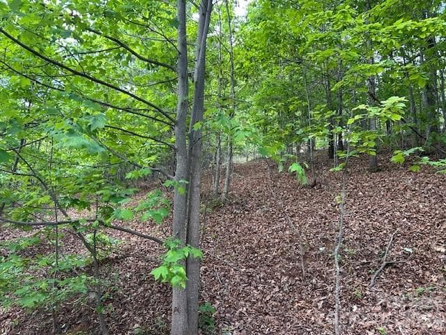 Lot at 0 Azule Ridge, Bostic, photo 10 of 18