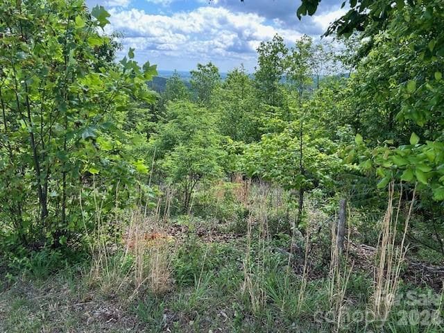 Lot at 0 Azule Ridge, Bostic, photo 13 of 18
