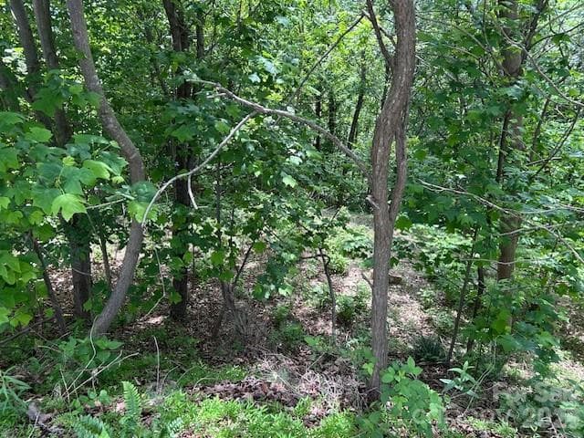 Lot at 0 Azule Ridge, Bostic, photo 14 of 18