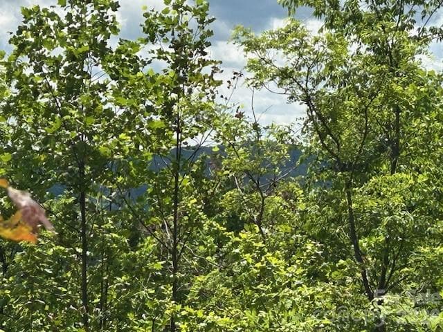 Lot at 0 Azule Ridge, Bostic, photo 16 of 18