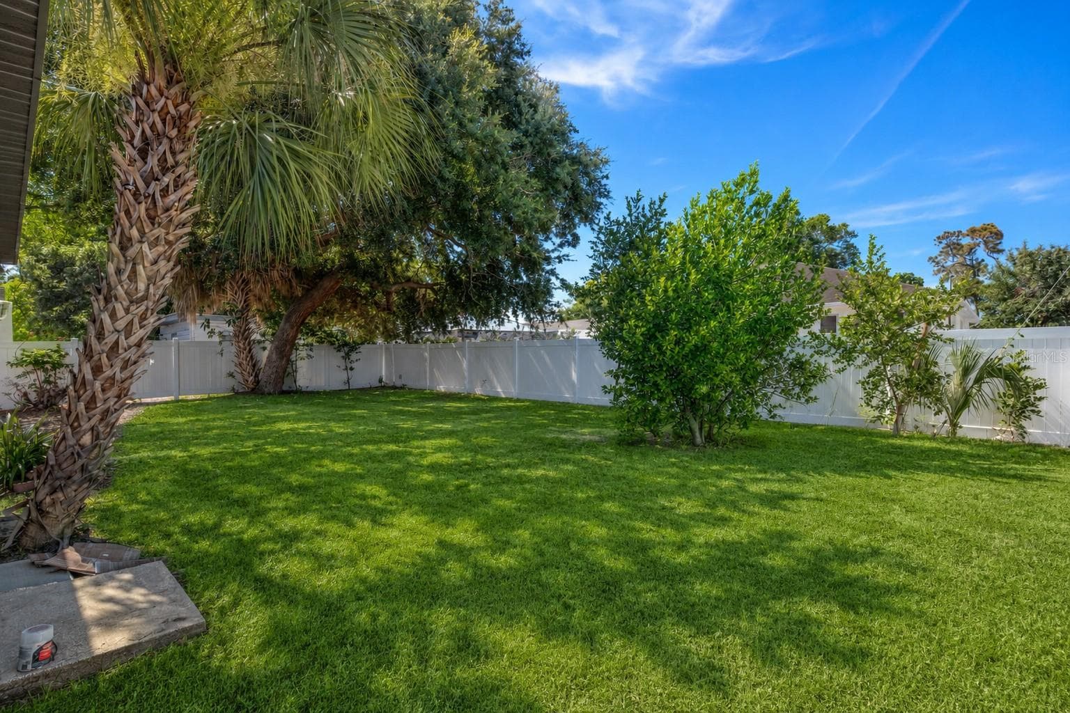 South Facing Back Virtually landscaped - 3816 W PAXTON AVE, TAMPA