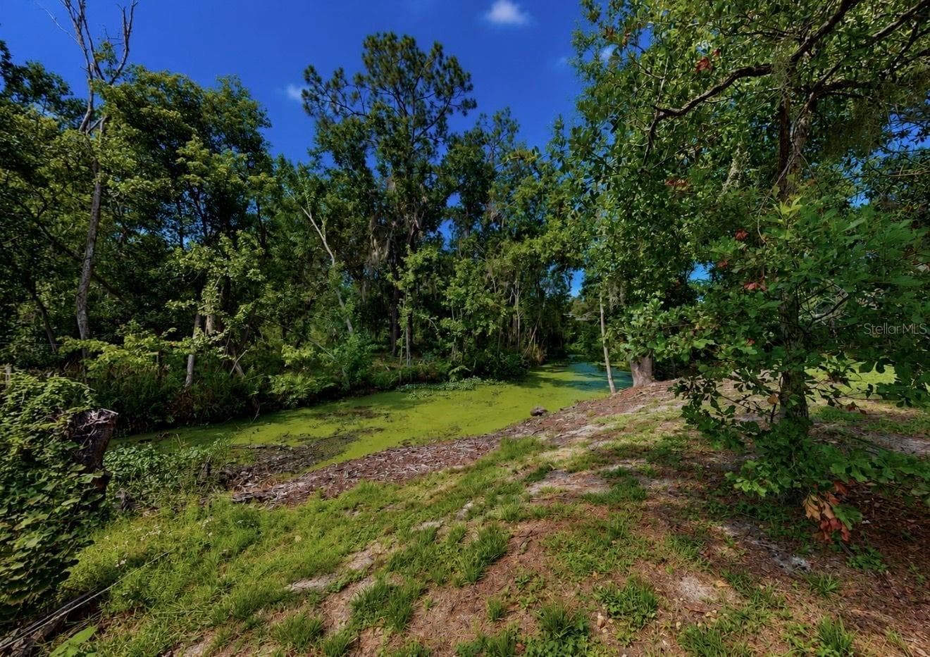 Single Family Residence at 1005 HIGHGROVE CT, VALRICO, photo 29 of 36