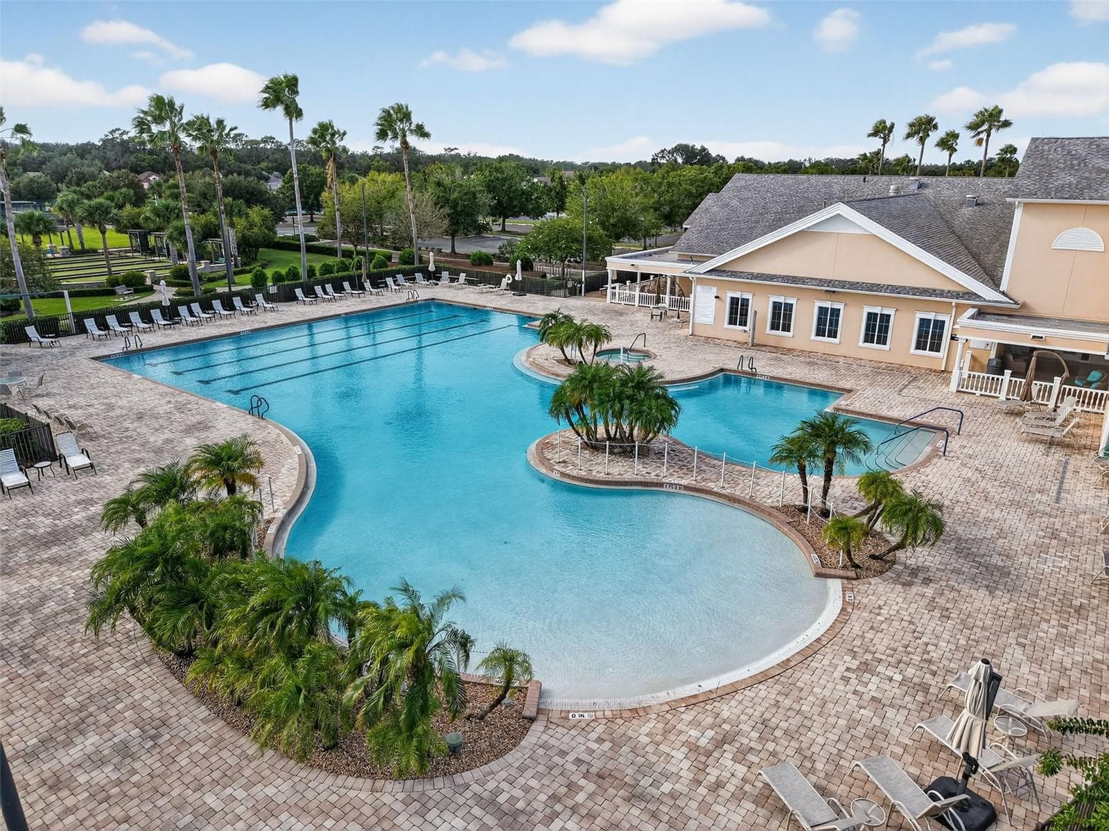 Large pool plus lap pool - 8716 BRIDGEPORT BAY CIR, MOUNT DORA