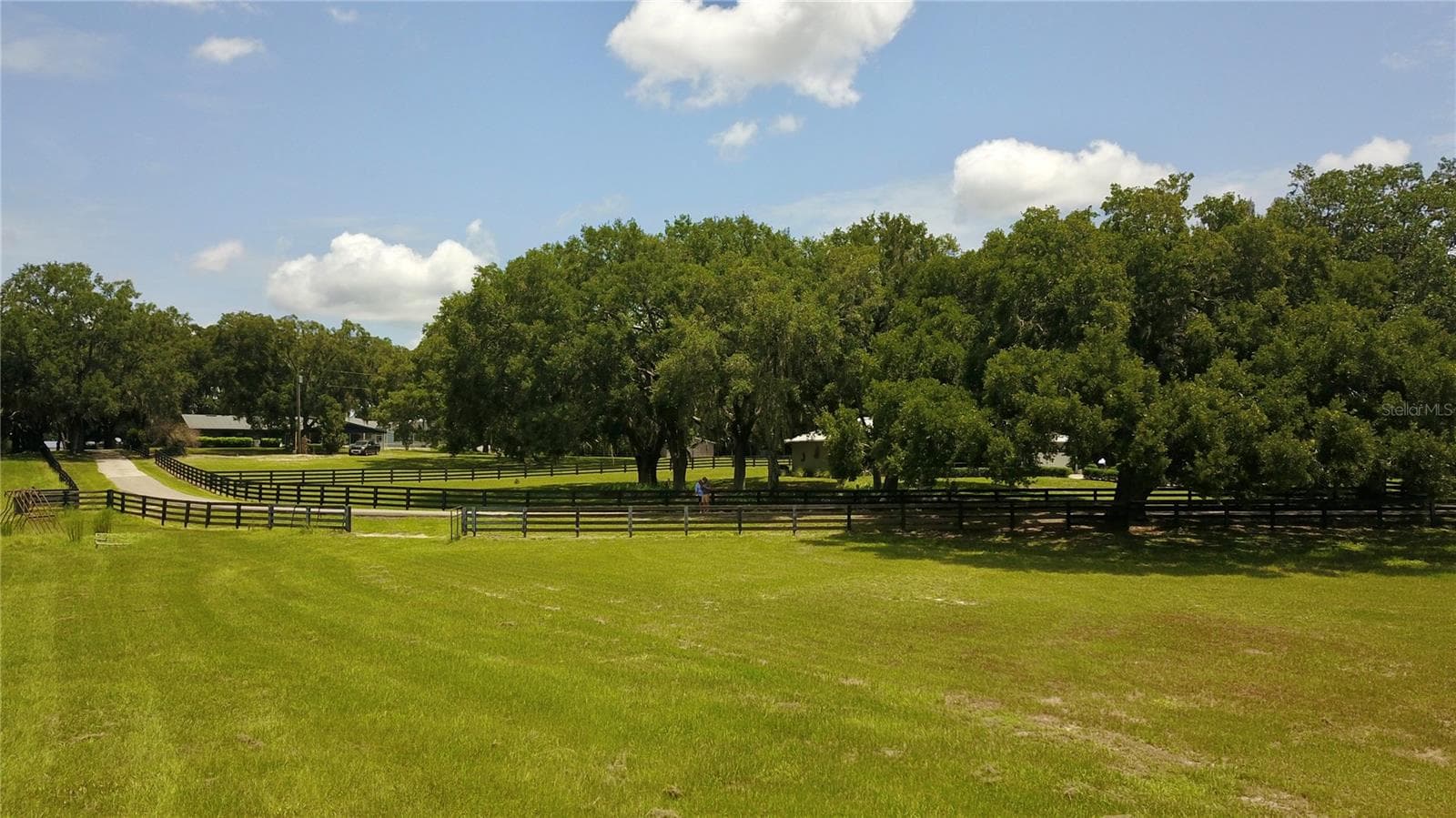 Farm at 16945 W PHIL C PETERS RD, WINTER GARDEN, photo 30 of 54