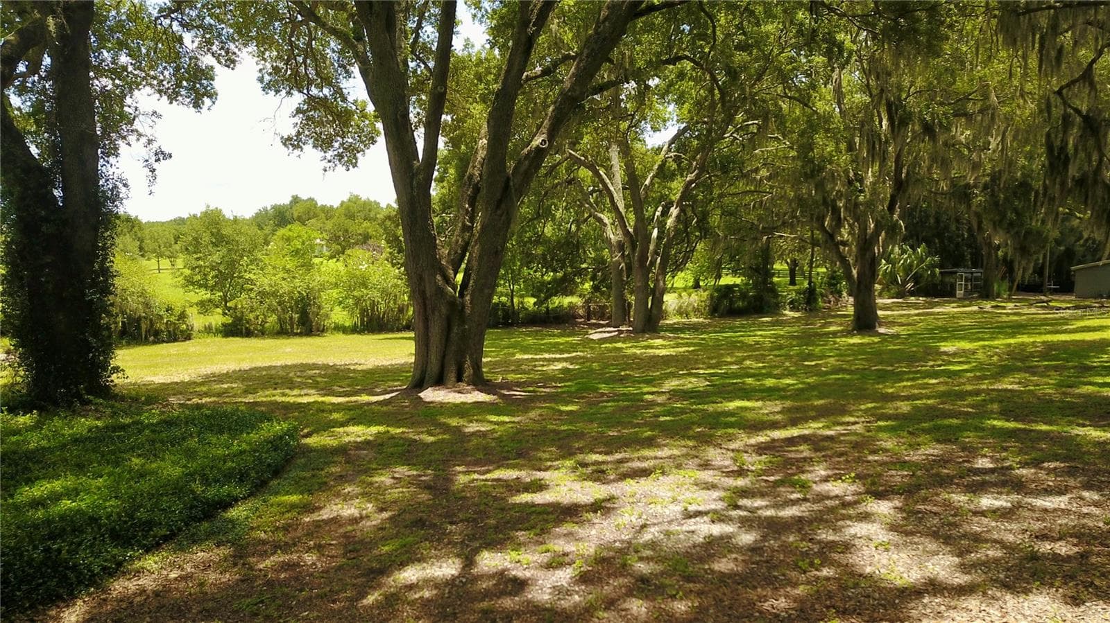 Farm at 16945 W PHIL C PETERS RD, WINTER GARDEN, photo 36 of 54