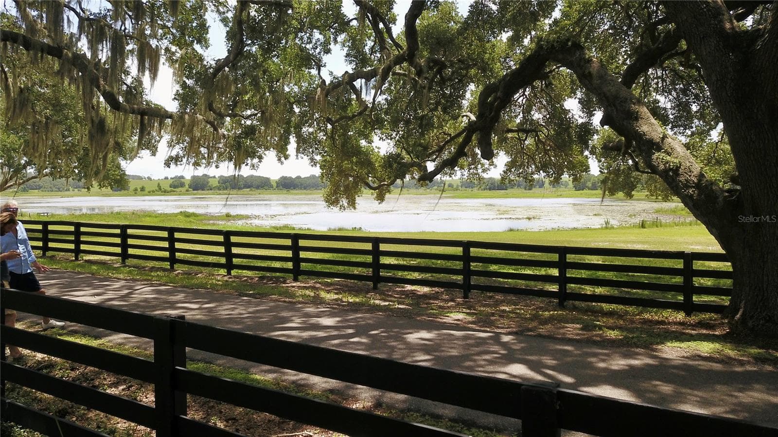 Farm at 16945 W PHIL C PETERS RD, WINTER GARDEN, photo 51 of 54