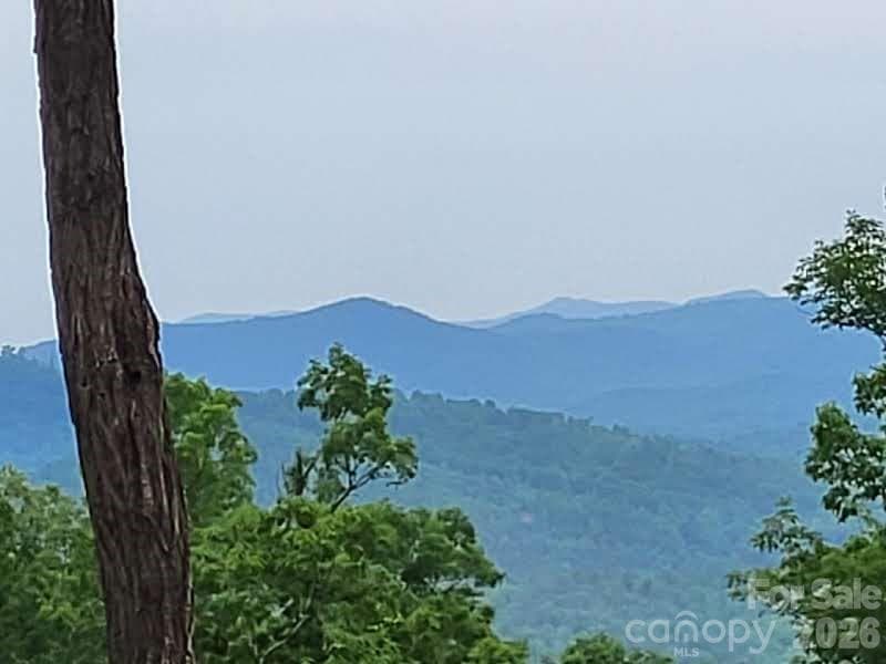 View from lot - Lot 45 Ridgecrest Drive, Lake Lure