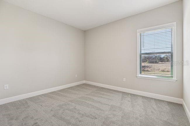 Model home - actual features may vary. - 3714 ROMA CT, PLANT CITY