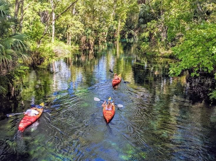 Hillsborough River State Park, just 10 miles away! Kayaking, trails, fishing & camping. - 3714 ROMA CT, PLANT CITY