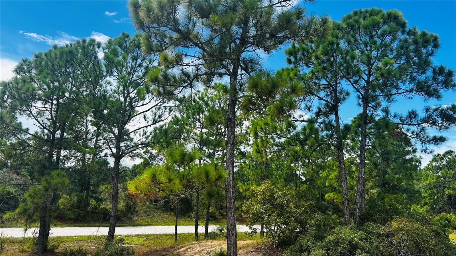 486 DREAMLAND DR