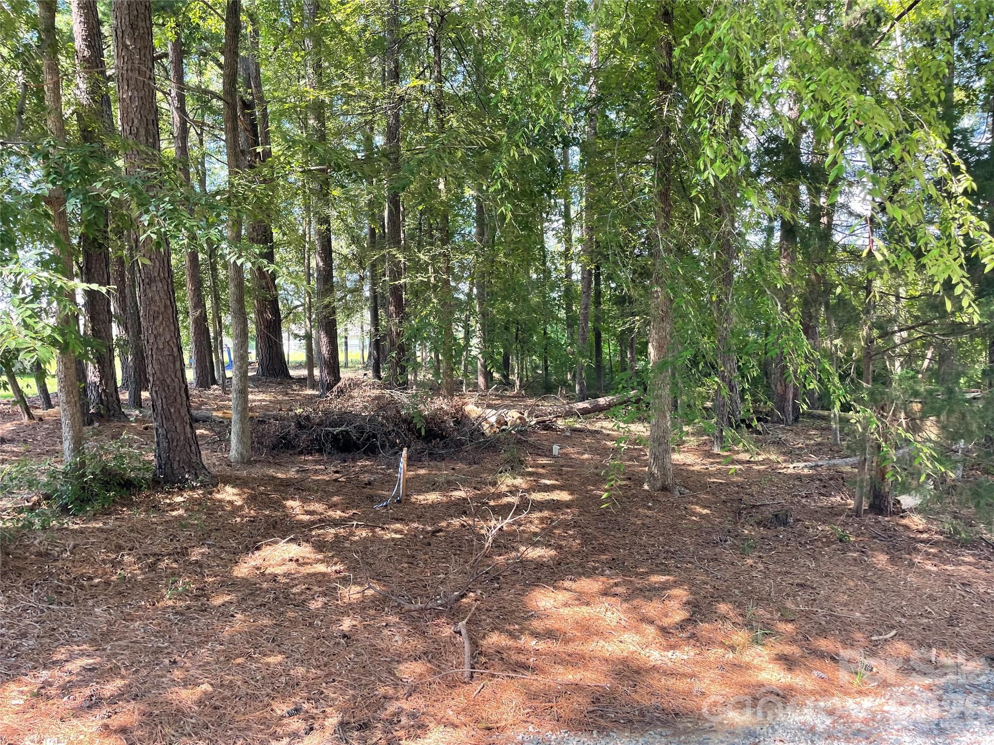 Lot at 13409 Ethelyn Circle, Huntersville, photo 3 of 11